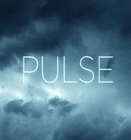 Pulse Profile Picture
