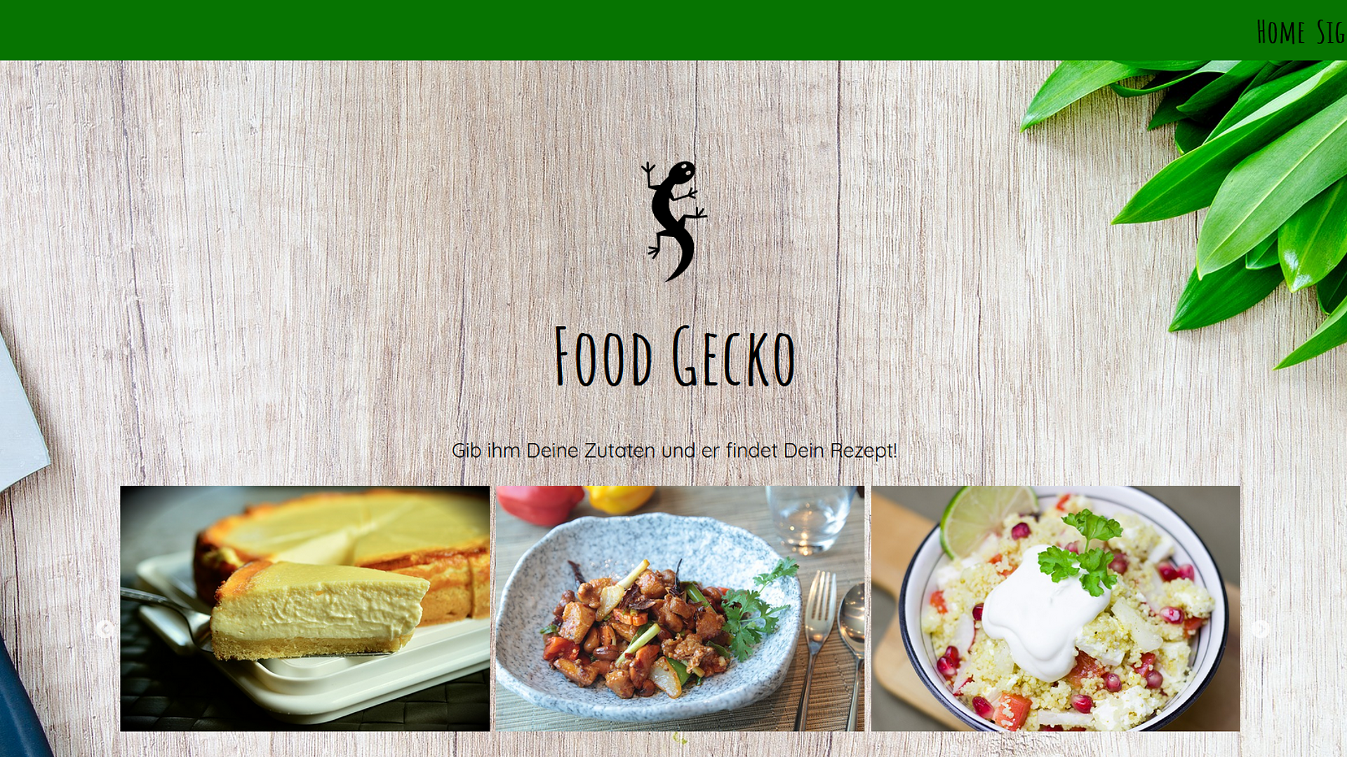Project Food Gecko_Hero